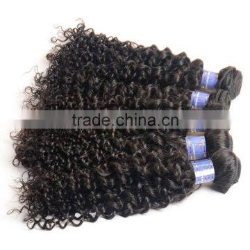 Wholesale Virgin Malaysian Hair, 100% Unprocessed Malaysian Virgin Hair, Malaysian Hair Curly Bundles photo-4