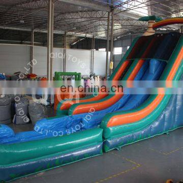 Giant Inflatable Hippo Slide For Fun High Quality Outdoor Toys Cheap Inflatable Slides photo-5