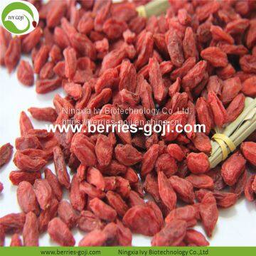 Factory Supply New harvest Dried Goji Berries