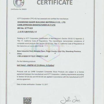 Multilayer Board / Paint-free Board/commcial Plywood photo-3