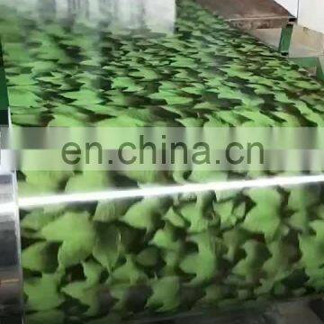 full form ppgi steel coil/pre painted galvanized steel coil/sheet with 0.12mm thickness