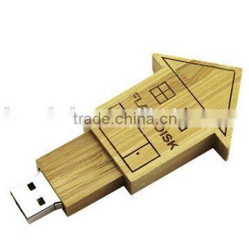 usb flash drive house