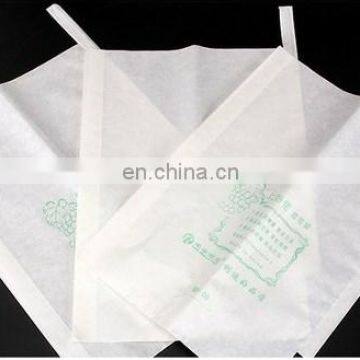 Promotion Price Hot Sale Peru Size Customizable Water Resistant Prevent Birds Fruit Growing Grape Protection Paper Bag photo-3
