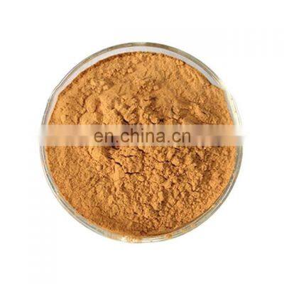 SCIYU Echinacea Purpurea Extract Cichoric Acid 1%-4% Polyphenols 4%-7% HPLC UV photo-3