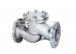 flange lift check valve