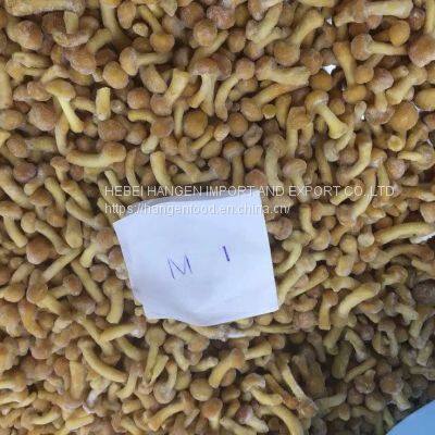 IQF Frozen Nameko Pilztaste Pilztaste photo-3