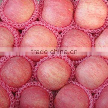 2014 Crop Chinese fresh Red fuji apple in hot sale