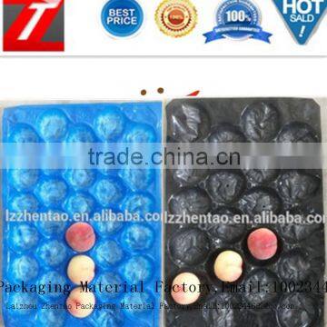 Gold Supplier Wholesale PP/PS/PET Fruit Packaging Tomato Tray Box photo-4