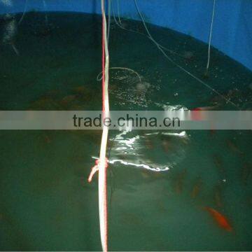 Collapsible Tank for Fish | Tanks to Store and Rear Fish photo-3