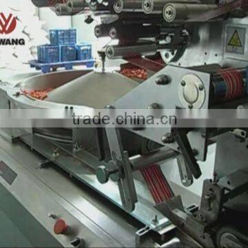 600kg/h Hard Candy Processing Line photo-2