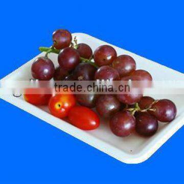 Fancy 100% Tree-free Biodegradable Bagasse Paper Small Fruit Tray