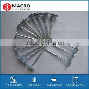 FOR NIGERIA MARKET GALVANIZED ROOFING NAILS