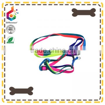 GradientRamp dog leash colourful leash