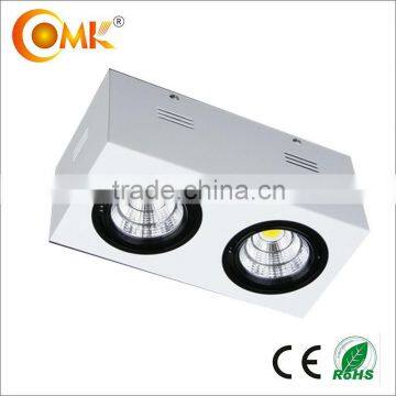 2*5W adjustable COB led surface mounted Downlight with ce rohs