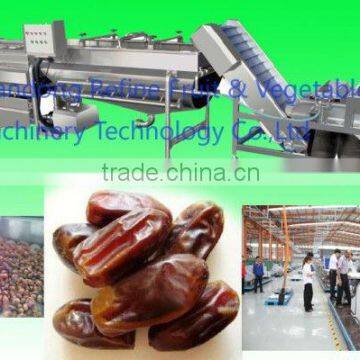 stainless steel date jujube washing machine fruit processing line