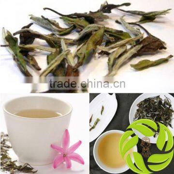 Premium fujian province bai mu dan white tea