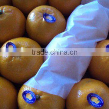 Mandarin Orange from Pakistan