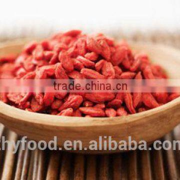 Bulk Dried Goji Berry