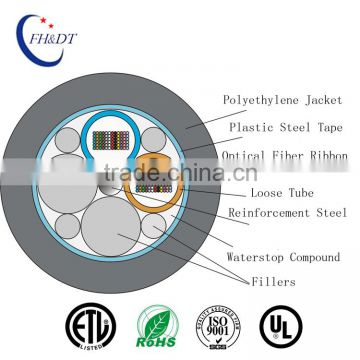 Made in China Outdoor Optical Fiber Ribbon Cable GYDTS