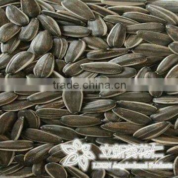 sunflower seeds 5009 24/64