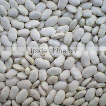 Good quality small white kidney beans from China for hot sale                        
                                                Quality Choice
