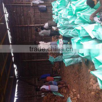 Cocounts Organic Fresh photo-5