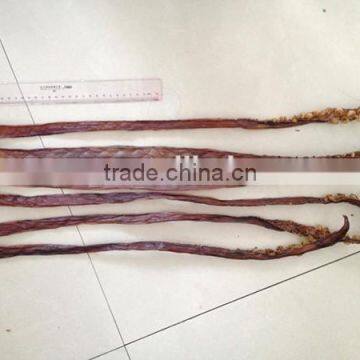 dried giant squid tentacles