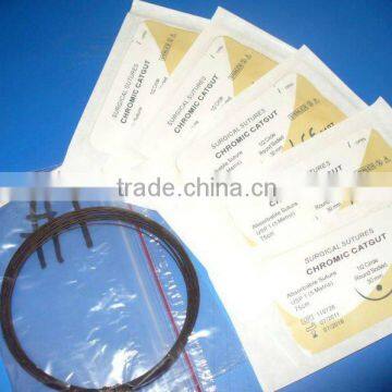 CE, ISO certificates chromic catgut suture