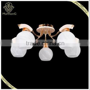 Hot Sale Decorative 60W /220V Ceiling Lamp Modern Glass Ball Shape Lamp