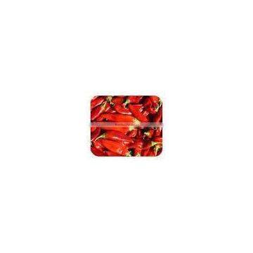 Red Chilli