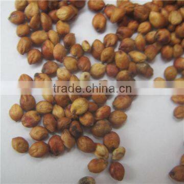 Gao Liang Premium Grade and Red Sorghum At Good Price