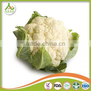 2017 New Crop Fresh Cauliflower photo-5