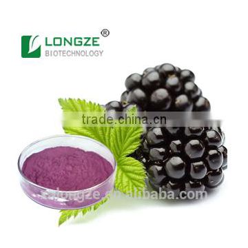 Good Water Soluble Anti-oxidant Blackberry Fruit Powder