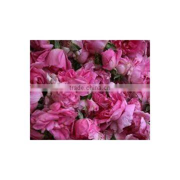Pure & Natural Rose Oil / INDIA'S NO. 1 EXPORTER'S / MANUFACTURER / SUPPLIERS photo-6