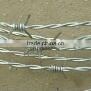 Galvanized Barbed Wire