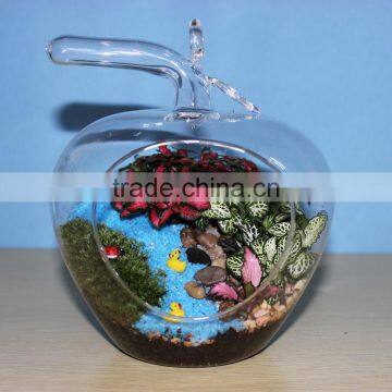 Micro landscape ecological Meaty plant glass vase Apple shape