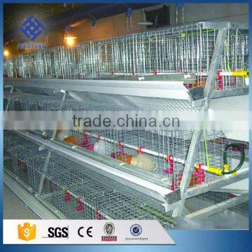 30 Years' Factory Supply Automatic Chicken Broiler Cages photo-3