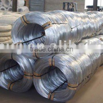 galvanized welded wire mesh(manufacturer&exporter)