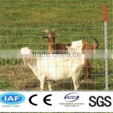 Grassland Fence (anping direct factory)