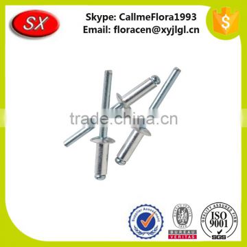 Popular Custom Various Specifications Rivet Can OEM&ODM (High Strenght / Hight Quality )