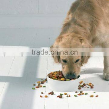 Pet Food Machine/Processing Line