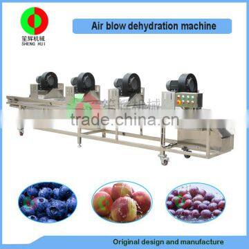 Hot Selling Industry Air Blow Dehydration Machine for Vegetable and Fruits,automatic Air Blow Drying Conveyor photo-2