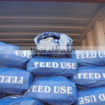 Yeast Powder 50% for Aquaculture Feed photo-4