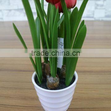 Potted Artificial White Flowers Bonsai photo-4