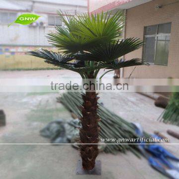 GNW APM028 Best Quality 20ft High Coconut Palm Tree For Park Outdoor Use photo-3