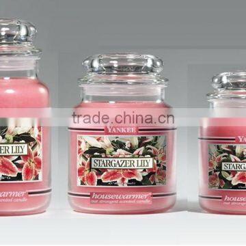 800ml 750ml 500ml 350ml Glass Storage Jar Airtight Canister Glass Candle Jar With Mushroom Lid photo-2