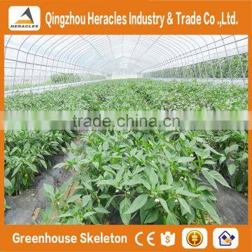 Heracles Low Cost Vegetable Greenhouse/Hoop House photo-4