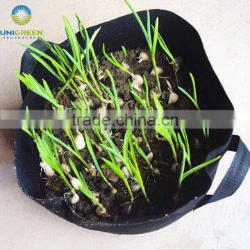 Durable and Breathable Felt Fabric Grow Pot for Potato and Strawberry photo-2