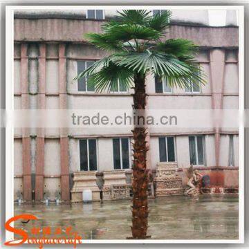 Latest Design 12ft Outdoor Decorative Palm Trees Artificial Outdoor Palm Trees for Sale photo-4