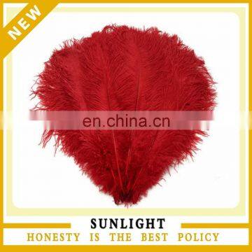 Alibaba Hot Sale Cheap Red Ostrich Feather for Wedding Party Decoration